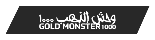 balikesir-minelab-gold-monster-1000